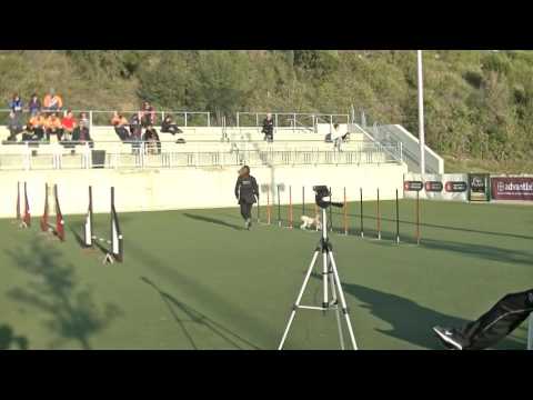 Anna Mel Jumping G2 E