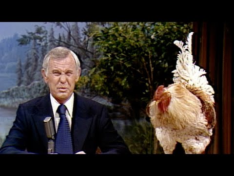 A Rooster Leaves a Gift on Johnny's Desk on Carson Tonight Show - 03/24/1978