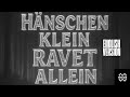 NOIZE-HÄNSCHEN KLEIN RAVET ALLEIN [ENGLISH VERSION] [LITTLE HANS] [THE VIRAL TIKTOK SOUND!]