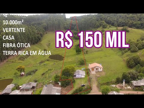 Vídeo