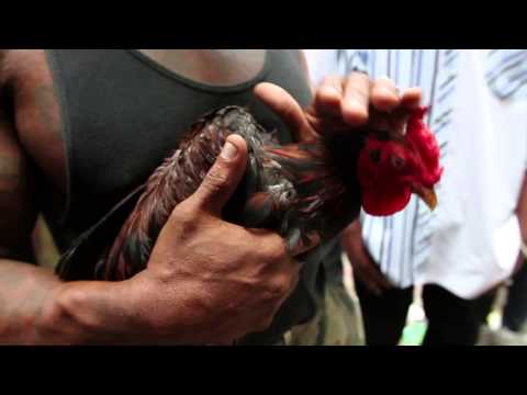 Team Lobey feat O-Gun & Mad S - Pran Nan Cho