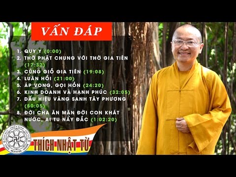 Vấn đáp: Quy y, niệm Phật, kinh doanh và hạnh phúc (29/05/2011) Thích Nhật Từ