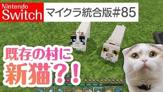 【Switch版マイクラ実況#85】既存の村に新しい猫が？！【統合版】