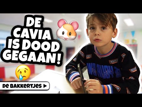 TOP 10 MANIEREN OM UIT SCHOOL TE GAAN! - De Bakkertjes #301