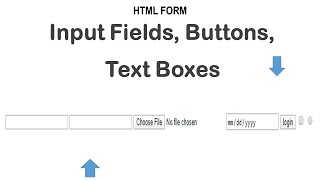 HTML Form input Fields (Text Boxes, Buttons)