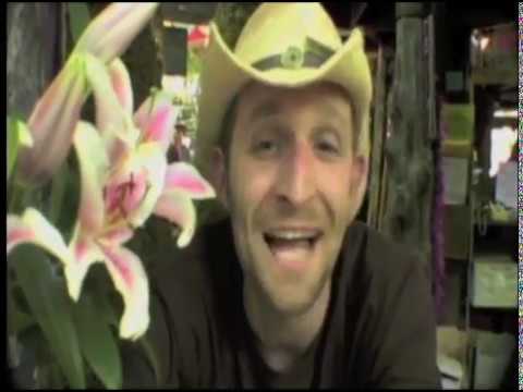 The Magical Trio - Oregon Country Fair