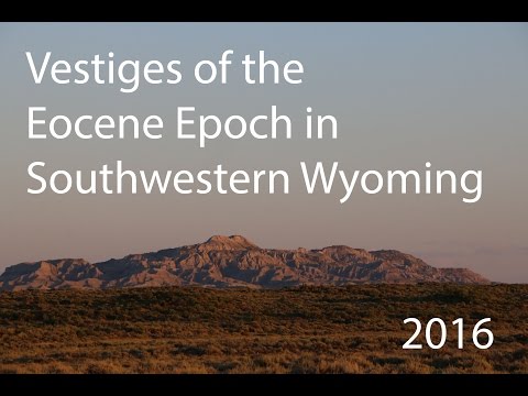Trip to Wyoming to Collect Eocene Fossils