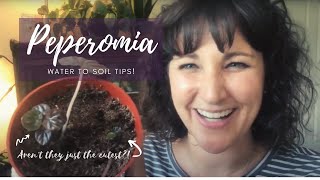 Peperomia Propagation | Water to Soil