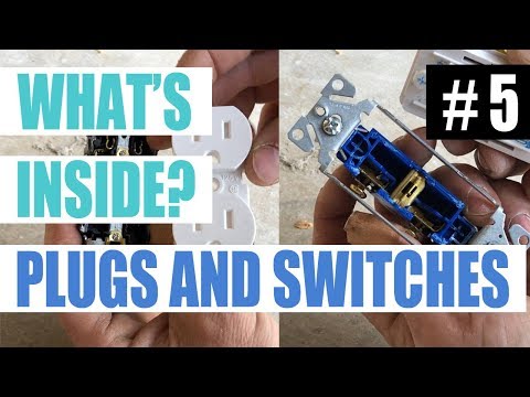 Whats Inside A Plug and A Switch
