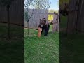 Bear Attacks Cat But The Fight Ends Unexpectedly