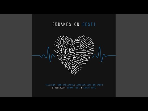 Vaiksel õhtul tähevalgel