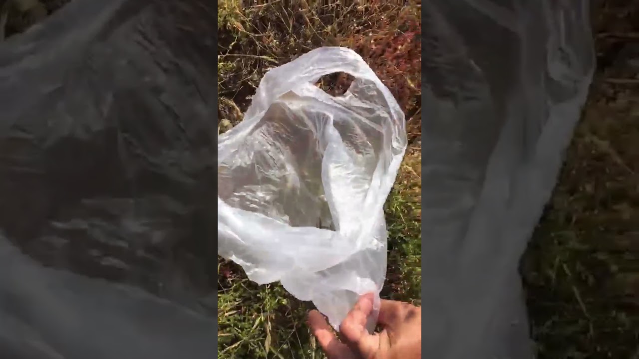 Sinop'ta çamaşır makinesinden çıyan çıktı