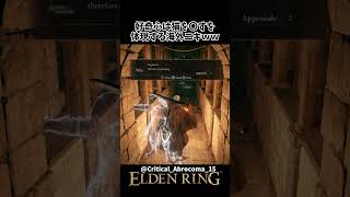 バグメッセージを命懸けで検証した結果ｗｗ #eldenring #エルデンリング #shorts