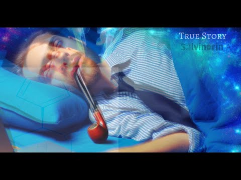 The SALVIA experiment : 25 Years in Another Life: The Mind-Bending Salvia Time Warp Experience