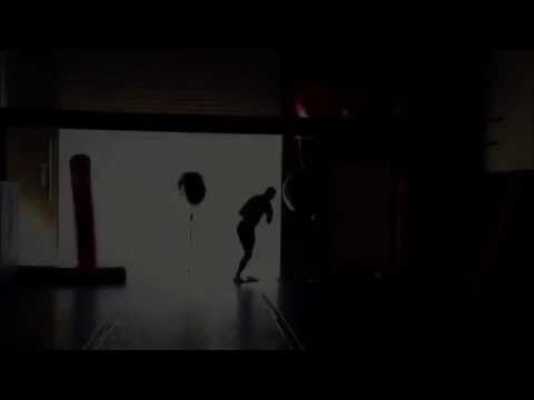 Cub Swanson Beautiful Destruction 2013