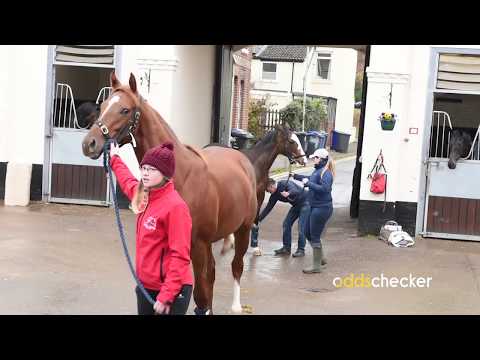 Horse trainer Charlie Fellowes talks to Oddschecker about the future of racing