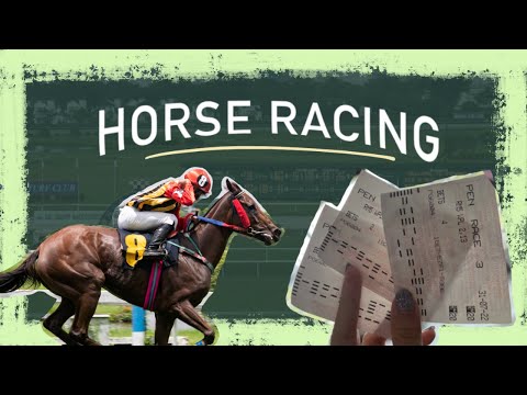 First Timer Horse Racing [PENANG TURF CLUB]