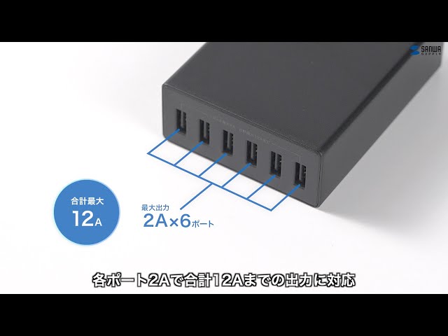 ACA-IP67BK / USB充電器（6ポート・合計12A・ブラック）