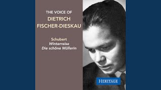 Winterreise, D. 911: X. Rast