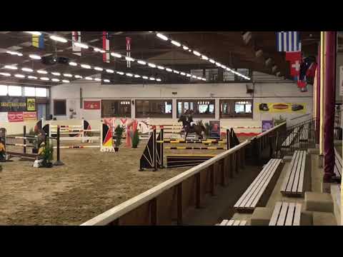 Coupe de Coeur Contender for sale