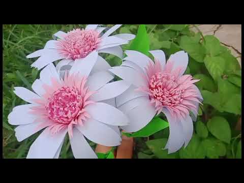 How to make Echinacea paper flowers/ Paper flowers/ Flowers/ Paper crafts/ Len Mab idea