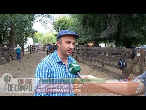 Juan Cruz Aristegui - Remate de Hugo R. Aristegui - Martes 17 de enero de 2023 - Cacharí