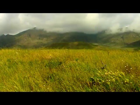 Anar Qasimbeyli "Cehri kendi"