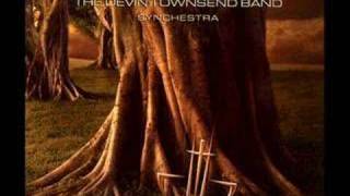 The Devin Townsend Band - Triumph