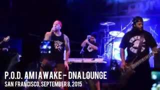 P.O.D. Am I Awake - Dnalounge (San Francisco)
