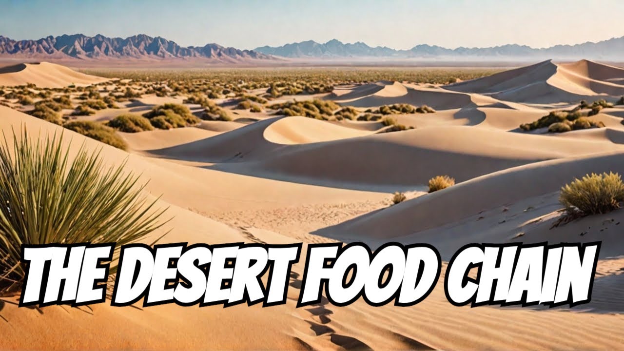 Uncovering the mysteries of the desert food chain