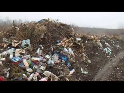 "GROAPA" DE GUNOI DIN GARLENI