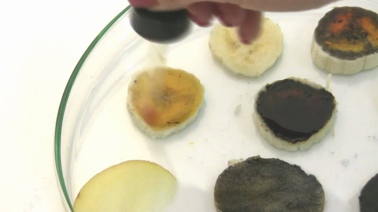 Amido: a reserva dos vegetais