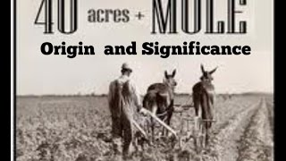 THE MASK OF ZION LIES 125 ACHRE'S AND A MULE YET THEY CONTINUE TO TREAT BLACKS LIKE A FOOL