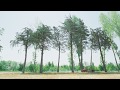 Maya Diab - Gatifin [Teaser] / [مايا دياب - قاطفين [إعلان ...