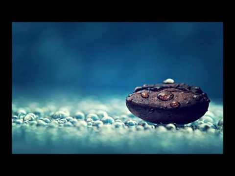 Tom Swoon, Belle Humble & DANK   Phoenix We Rise