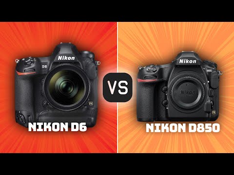Nikon D6 vs Nikon D850: Which Camera Is Better? (With Ratings & Sample Footage)
