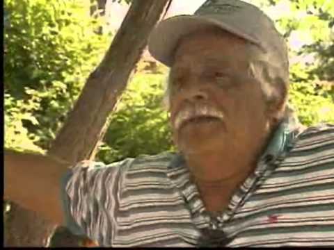 The Roswell UFO Crash