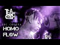 Homo Flow 5 Shotta Flow 5 Gay Parody Gaymix