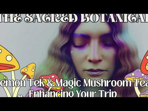 Lemon Tek & Magic Mushroom Tea, Enhancing Your Trip 🍋🍄