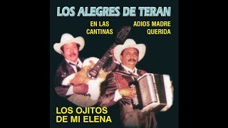 Los Alegres de Teran - Mi Castigo