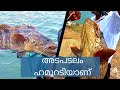 ഇവിടെ ചൂണ്ട ഇട്ടാൽ ഹമൂർ അടിക്കുമെന്ന് ഉറപ്പ് |#fishingvideo #grouperfishing #kadaltheeram