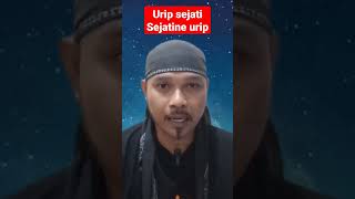 Download lagu urip sejati sejatine urip?!#shorts mp3 Download lagu urip sejati sejatine urip?!#shorts mp3
