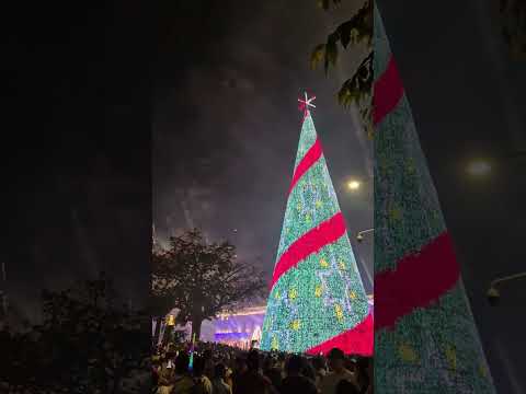 ENCENDIDO DE ÁRBOL NAVIDEÑO EN CENTRO HISTÓRICO DE SAN SALVADOR