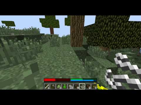 TerraFirmaCraft S01E01 - Představení módu