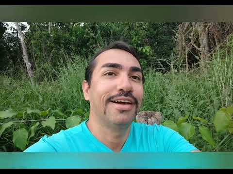 UM ALCOÓLATRA ASSEDIADO.