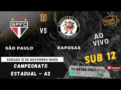 SÃO PAULO  X RAPOSAS DA LESTE  SUB 12 -SEMI FINAL SÉRIE OURO (ESTADUAL - A2 ) – TV FALANDO DE FUTSAL