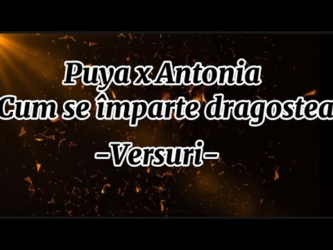 Puya x Antonia ~Cum se împarte dragostea~(Versuri)