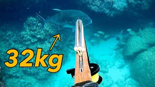 Download lagu 70lb Giant Trevally | Spearfishing in Japan mp3 Download lagu 70lb Giant Trevally | Spearfishing in Japan mp3