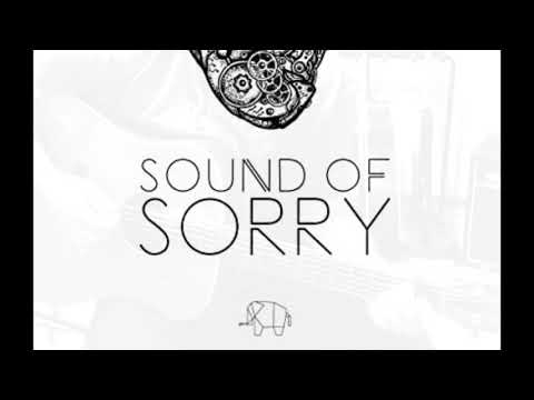 White Elephant Orchestra - Sound of Sorry (Aaron Westlake Multi- Instrument Cover)