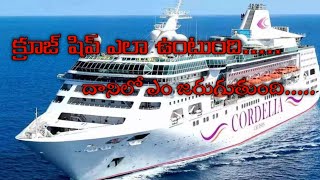 cruise journey# chennai to pondicherry cruise trip #pondicherry #ship journey